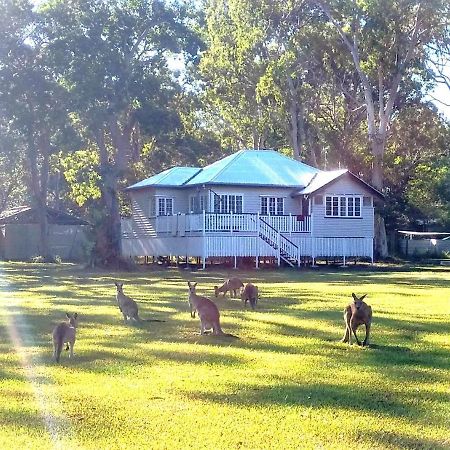Lake Weyba Noosa Lodge & Kangaroos Peregian Beach Buitenkant foto