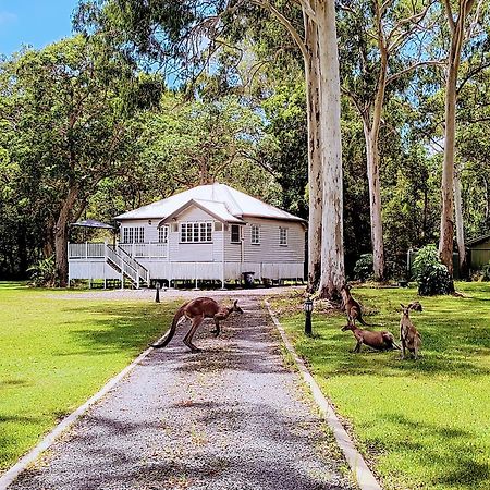 Lake Weyba Noosa Lodge & Kangaroos Peregian Beach Buitenkant foto