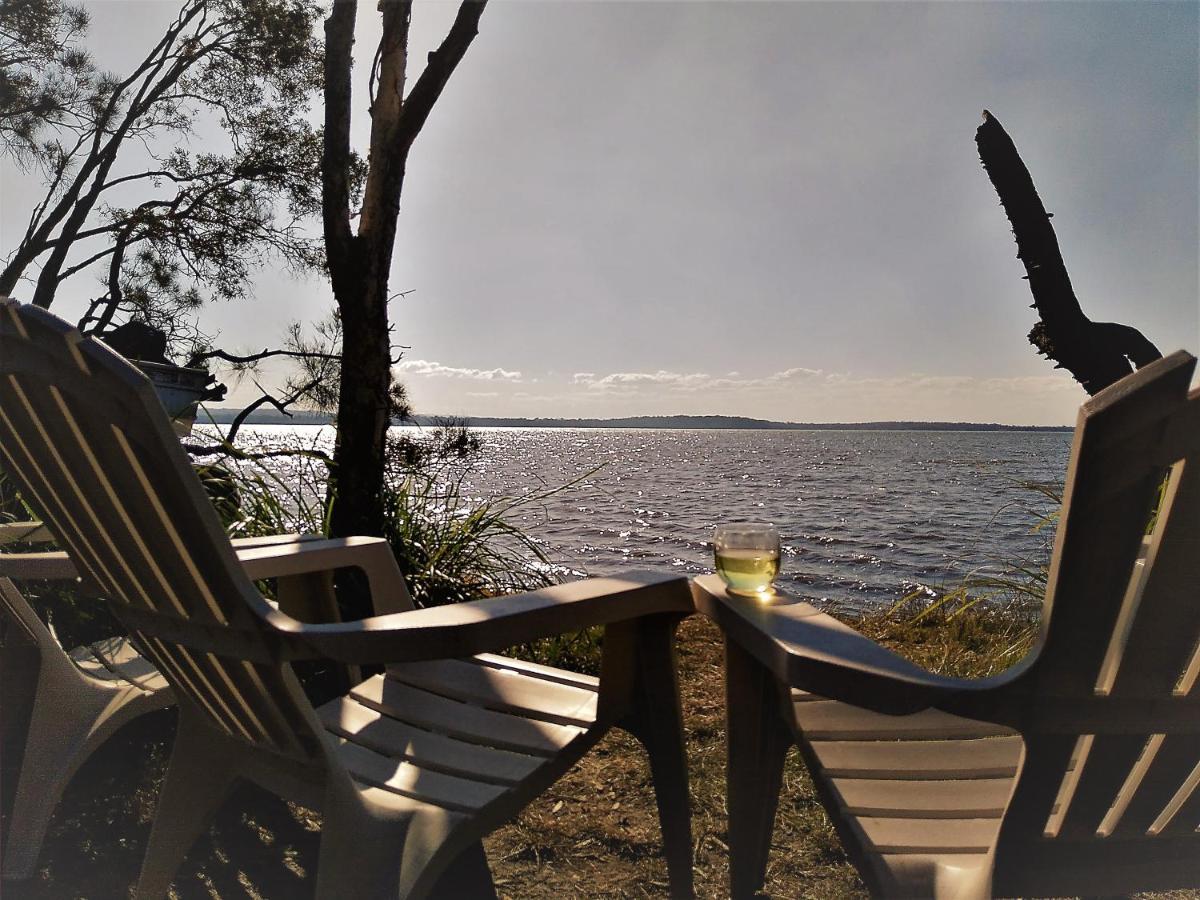 Lake Weyba Noosa Lodge & Kangaroos Peregian Beach Buitenkant foto