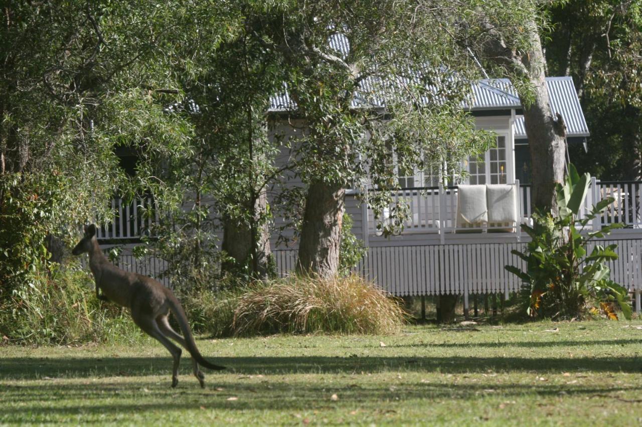 Lake Weyba Noosa Lodge & Kangaroos Peregian Beach Buitenkant foto