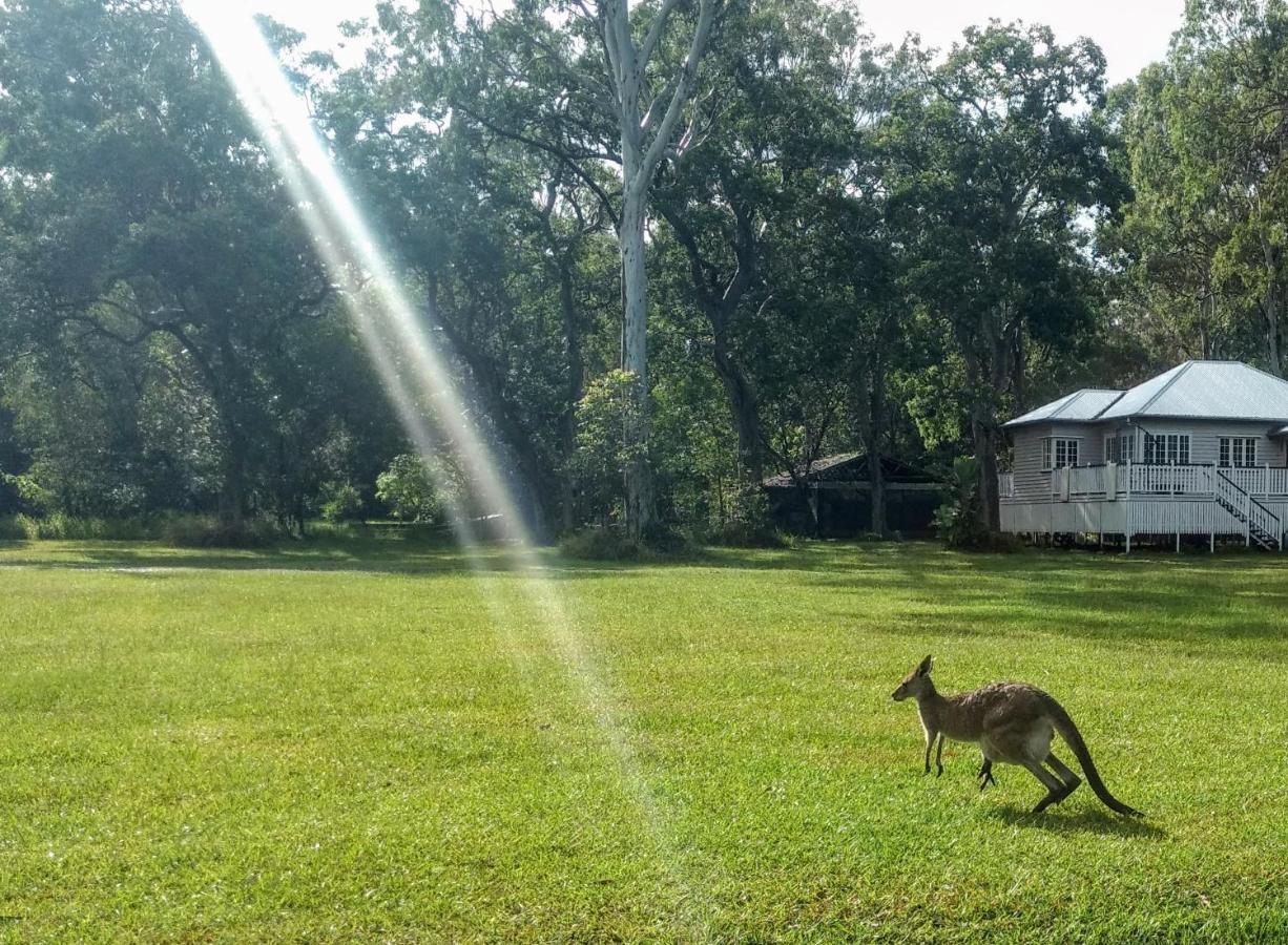Lake Weyba Noosa Lodge & Kangaroos Peregian Beach Buitenkant foto