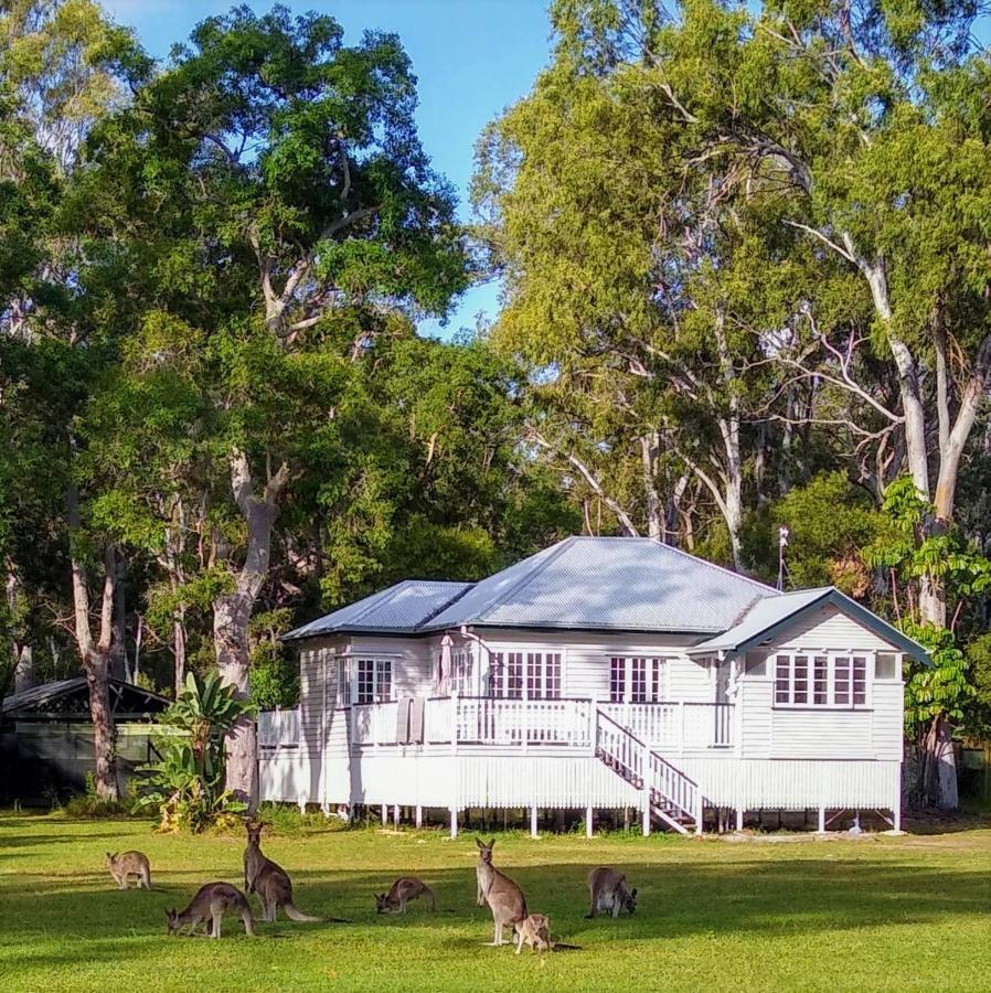 Lake Weyba Noosa Lodge & Kangaroos Peregian Beach Buitenkant foto
