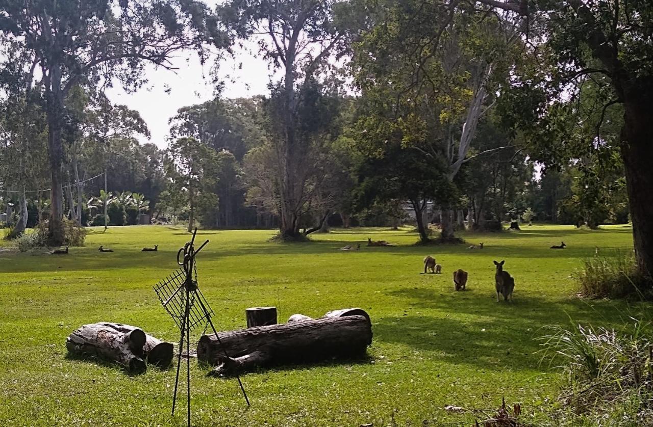 Lake Weyba Noosa Lodge & Kangaroos Peregian Beach Buitenkant foto