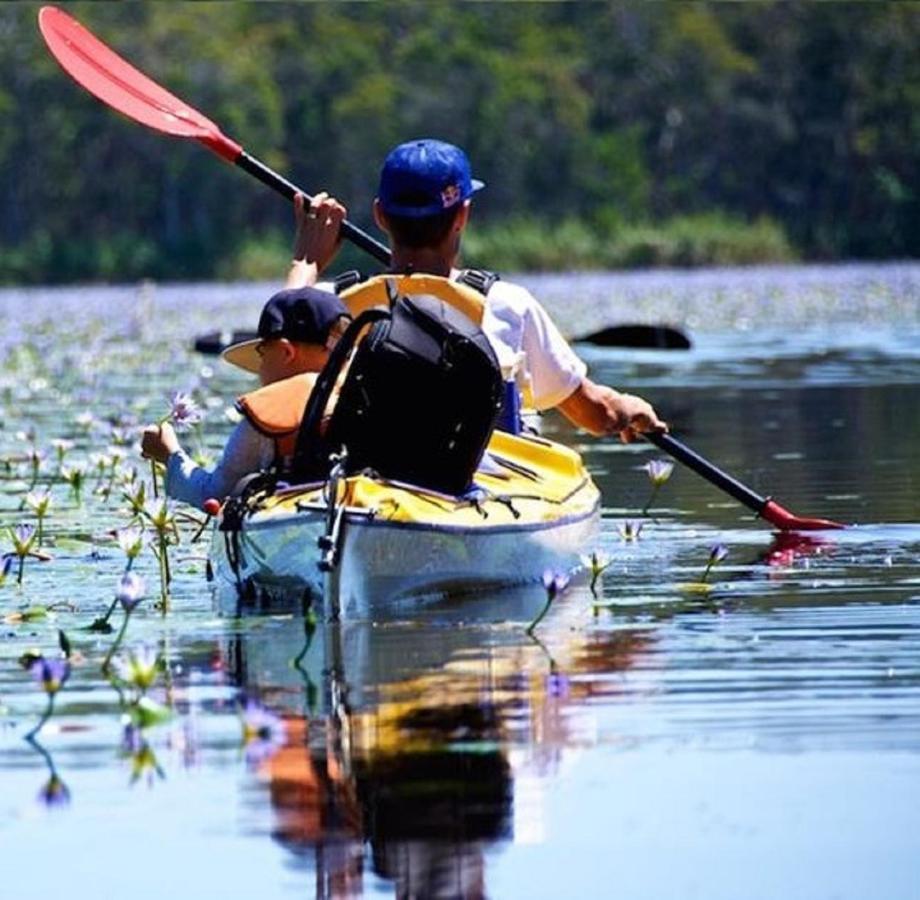 Lake Weyba Noosa Lodge & Kangaroos Peregian Beach Buitenkant foto