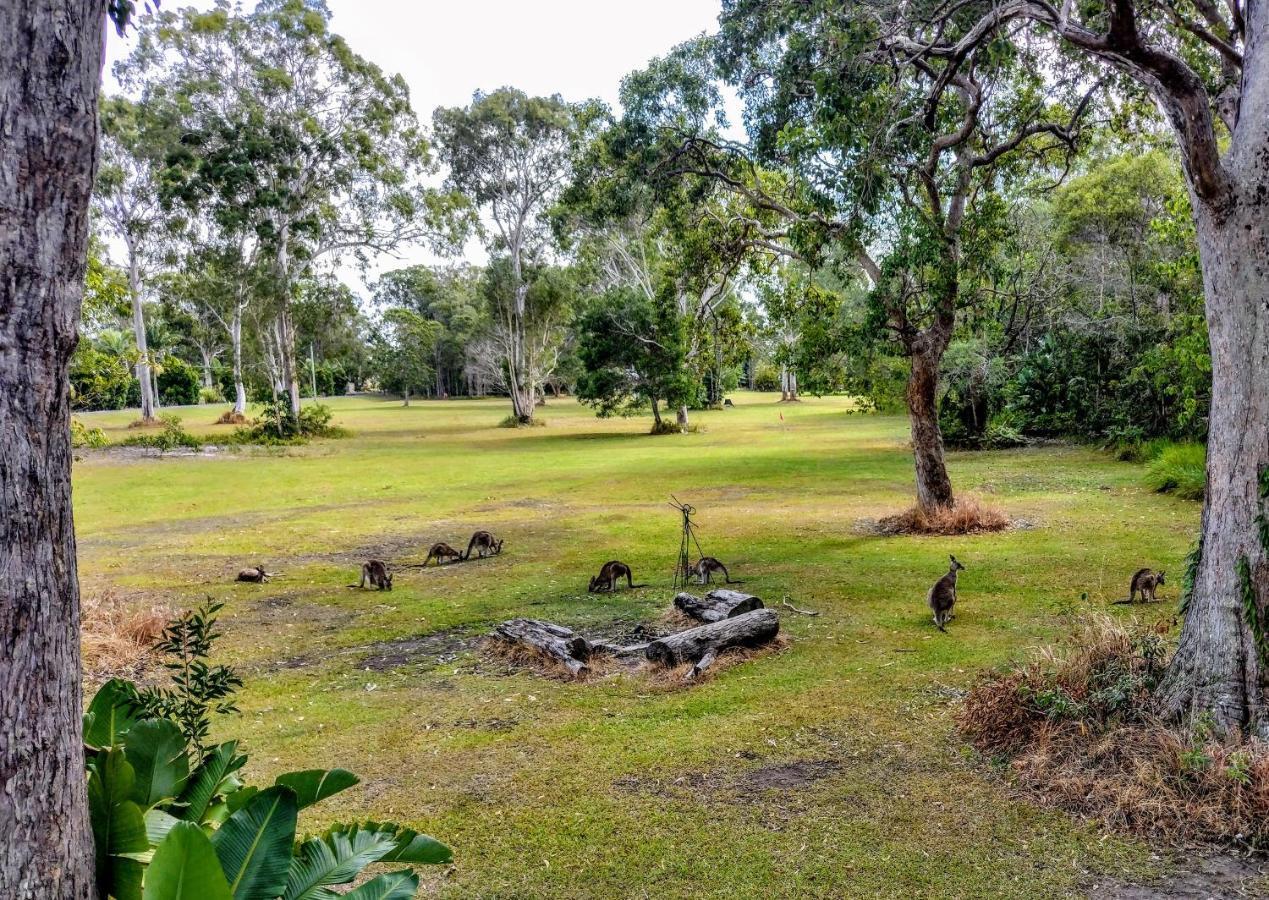 Lake Weyba Noosa Lodge & Kangaroos Peregian Beach Buitenkant foto