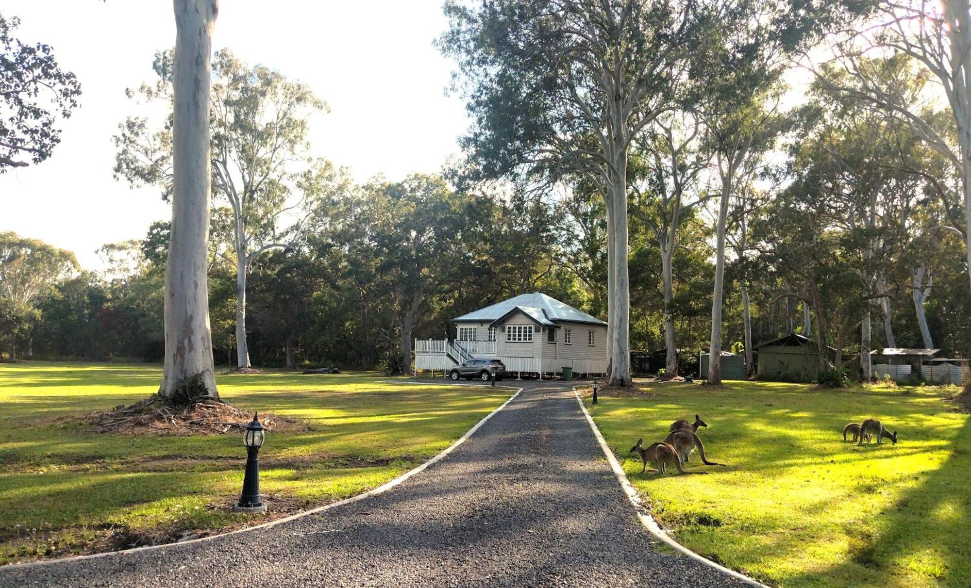 Lake Weyba Noosa Lodge & Kangaroos Peregian Beach Buitenkant foto