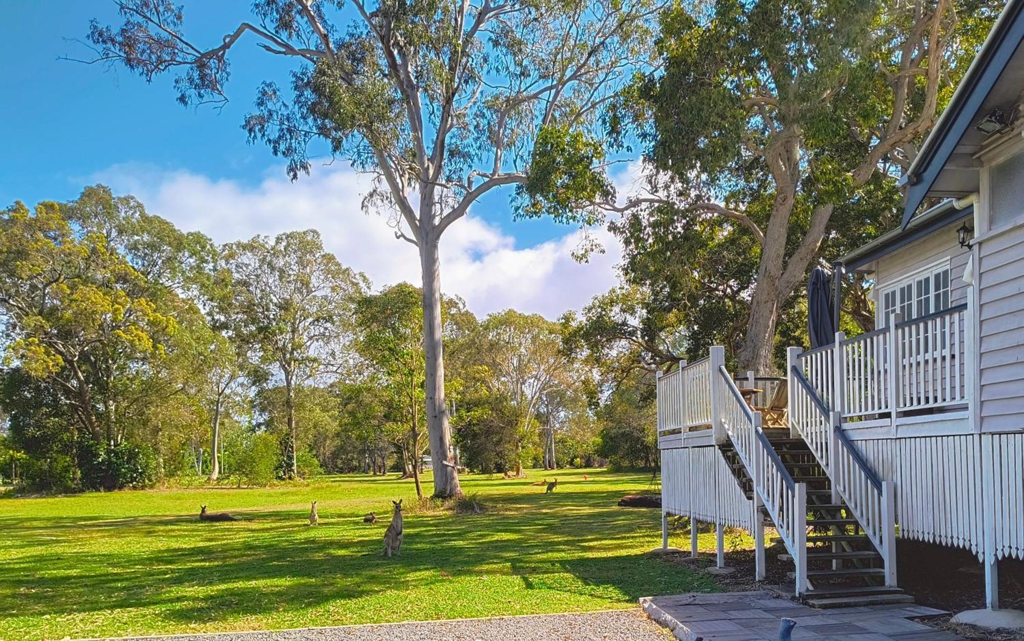 Lake Weyba Noosa Lodge & Kangaroos Peregian Beach Buitenkant foto