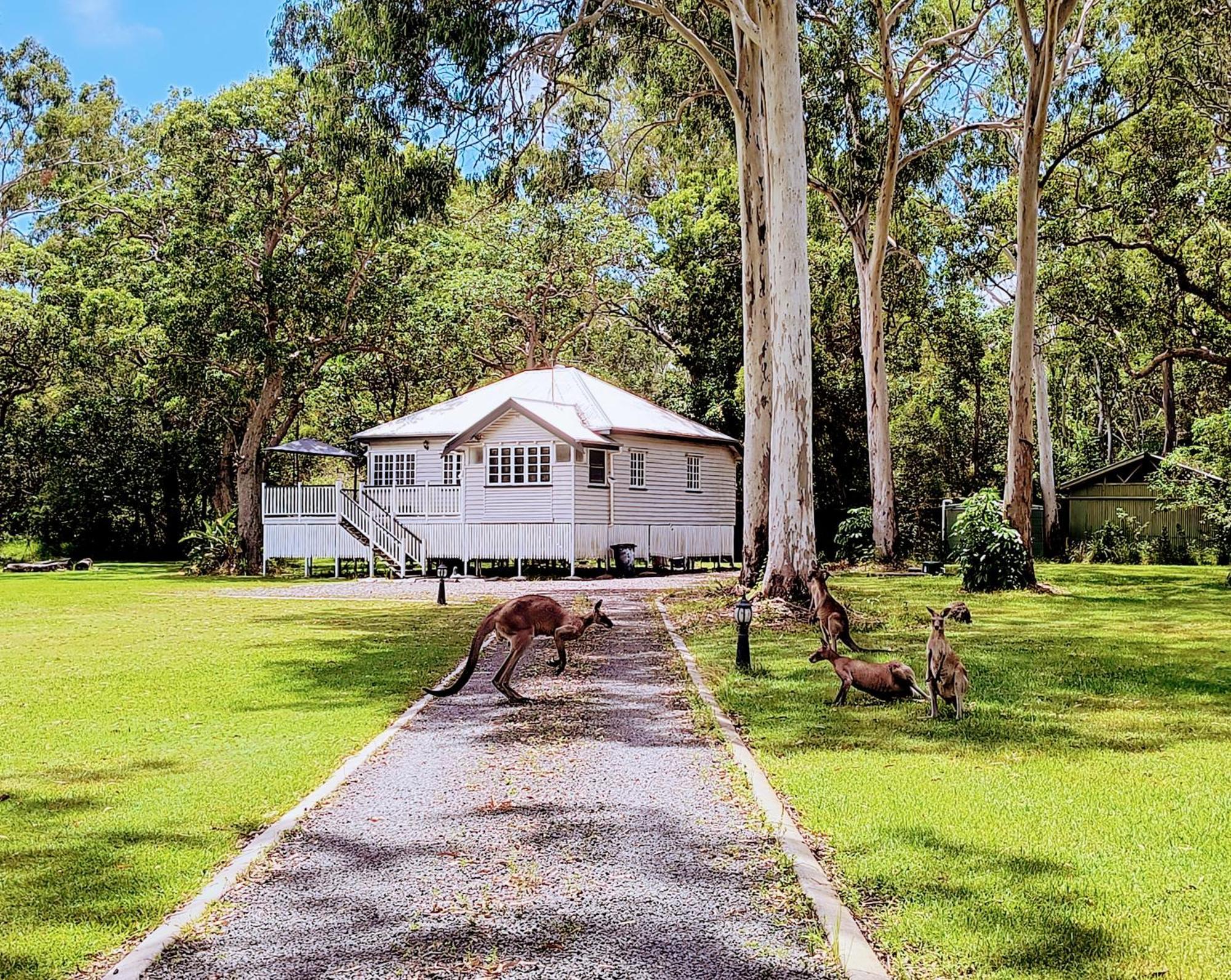 Lake Weyba Noosa Lodge & Kangaroos Peregian Beach Buitenkant foto